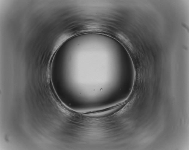 X0000097301370200802151428