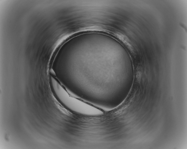 X0000097301372200802151428