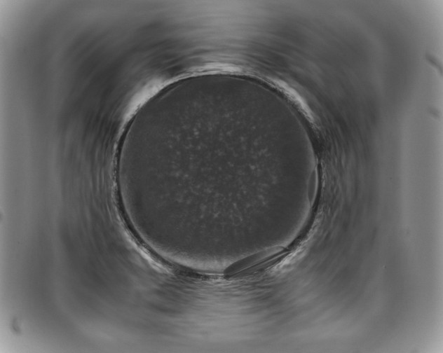 X0000097301373200802151428