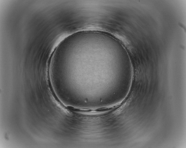 X0000097301374200802151428