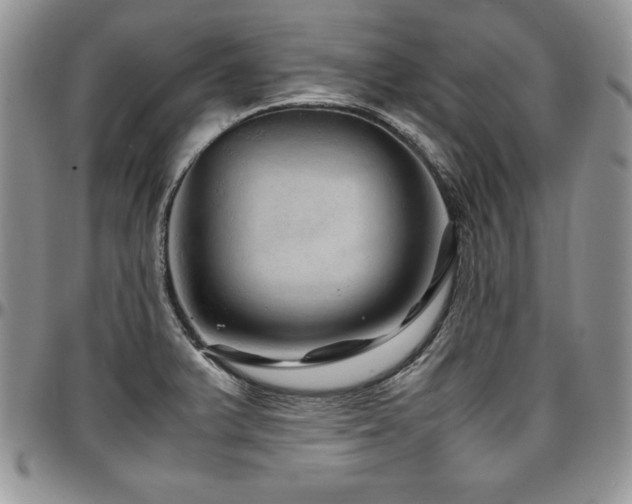 X0000097301375200802151428