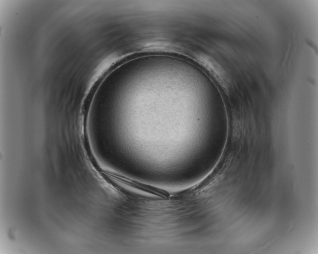 X0000097301376200802151428
