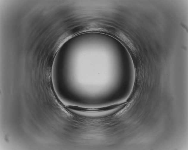 X0000097301377200802151428