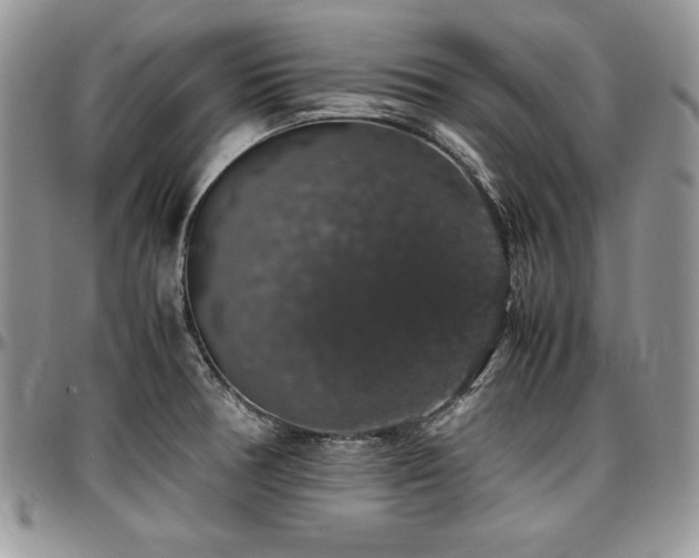 X0000097301378200802151428