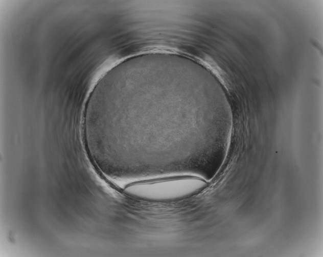 X0000097301379200802151428