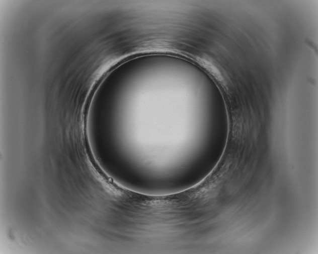 X0000097301380200802151428