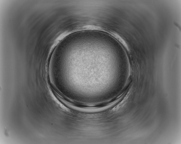 X0000097301381200802151428