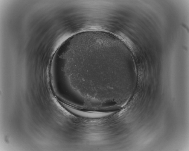 X0000097301382200802151428