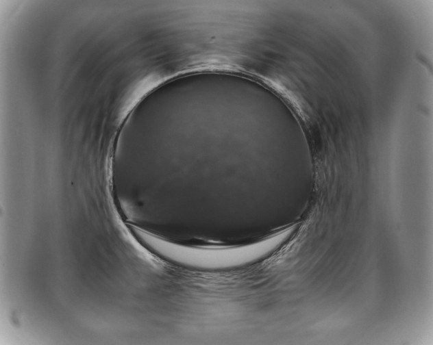 X0000097301383200802151428