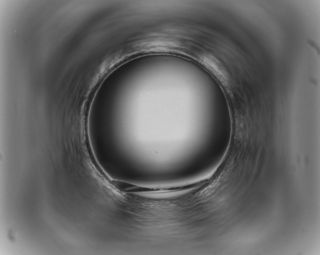 X0000097301384200802151428