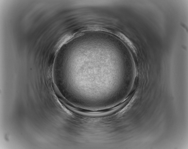 X0000097301385200802151428