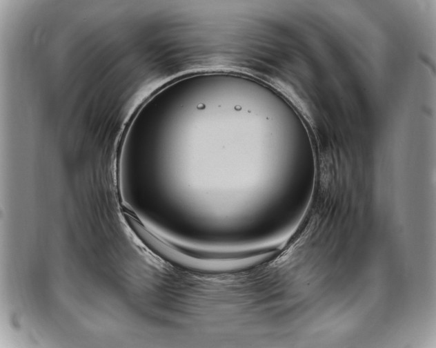 X0000097301388200802151428