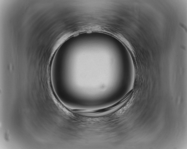 X0000097301389200802151428