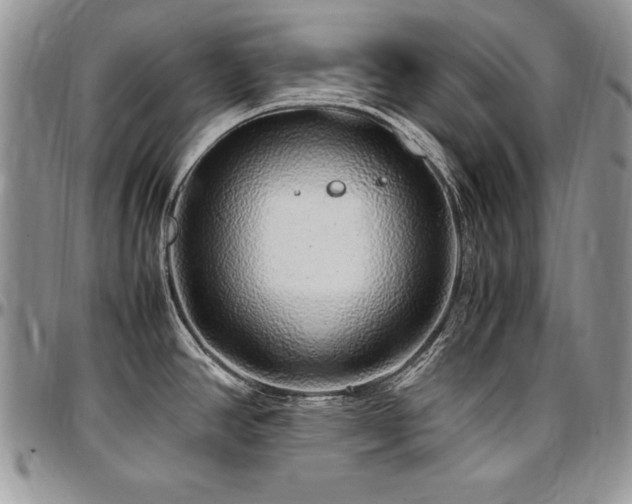 X0000097301390200802151428