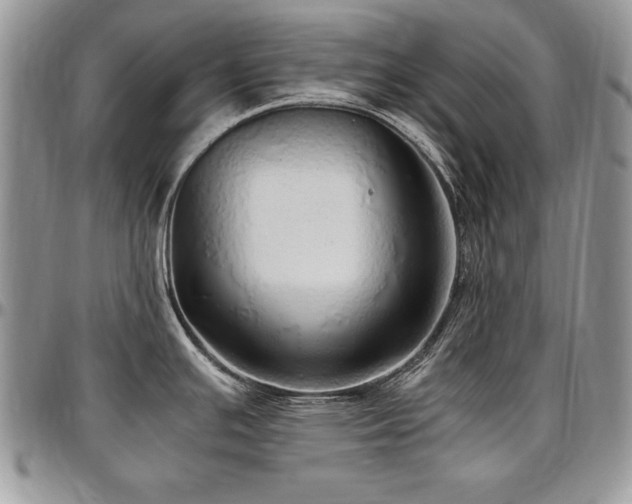 X0000097301391200802151428