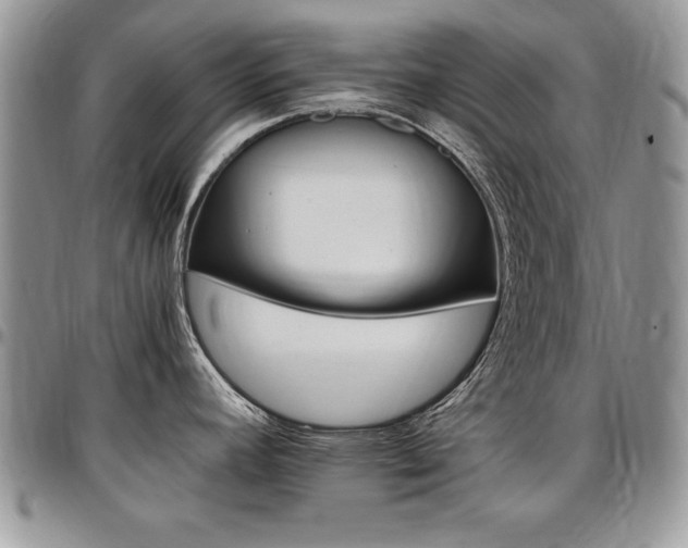 X0000097301392200802151428