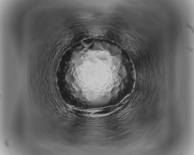 X0000097301393200802151428