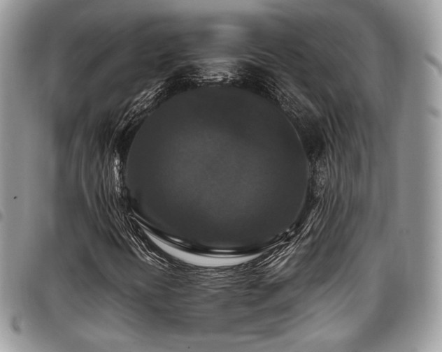 X0000097301394200802151428