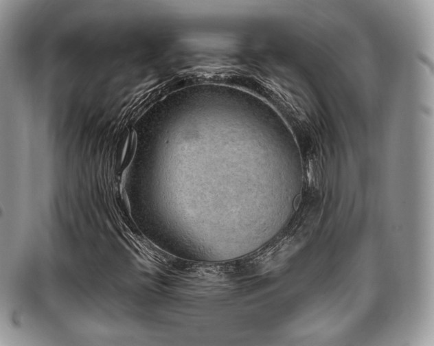 X0000097301396200802151428