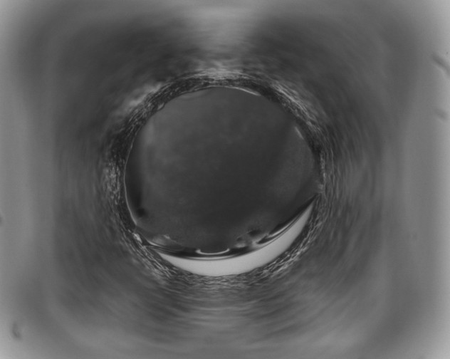 X0000097301398200802151428
