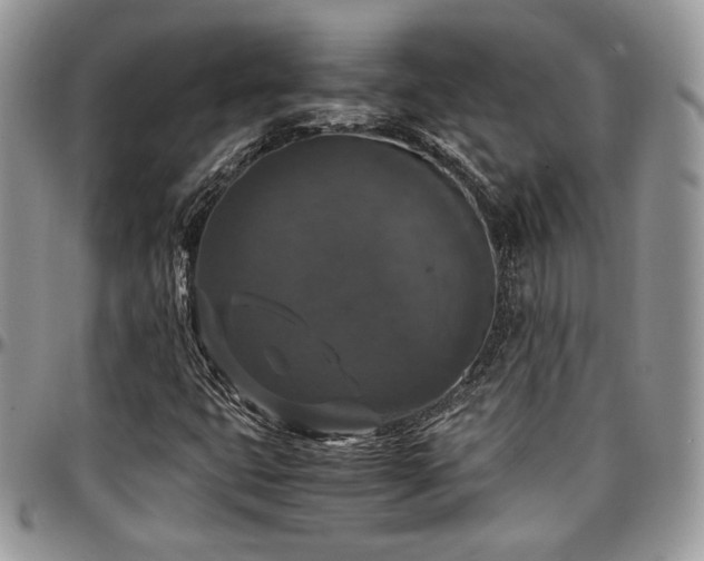 X0000097301399200802151428