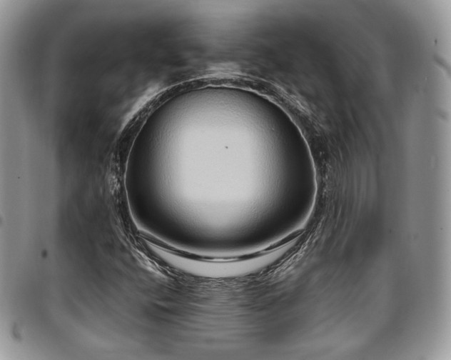 X0000097301400200802151428