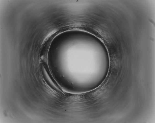 X0000097301402200802151428