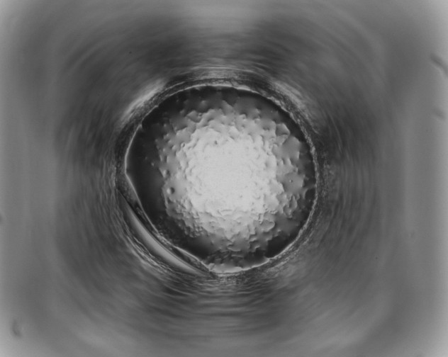 X0000097301403200802151428