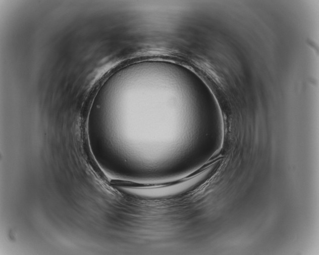 X0000097301404200802151428