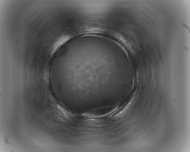 X0000097301405200802151428