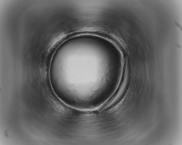 X0000097301406200802151428