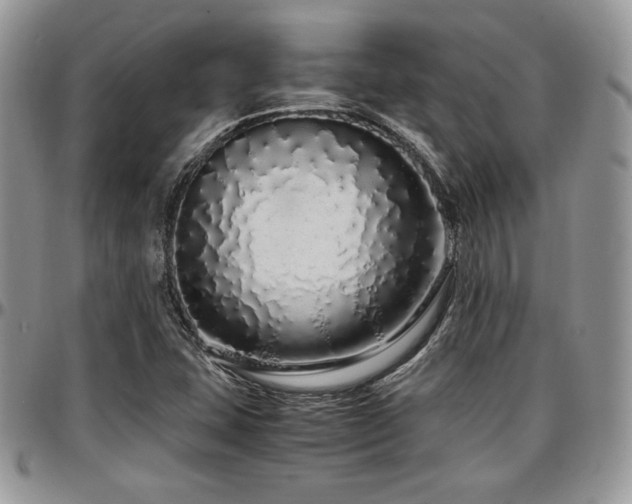 X0000097301407200802151428