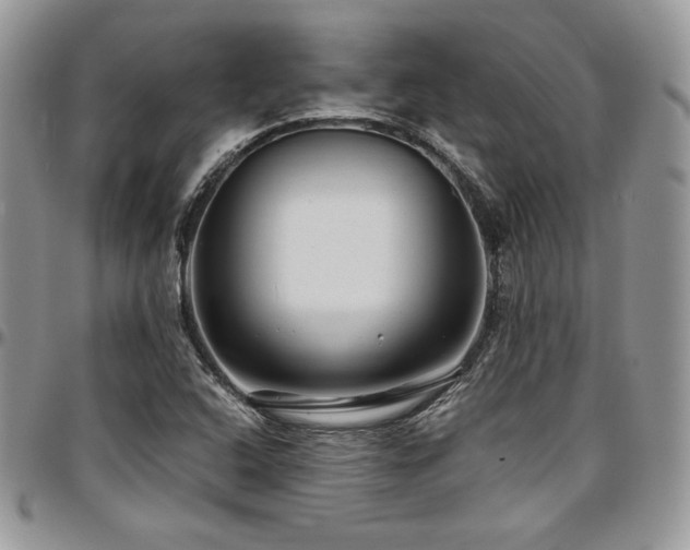 X0000097301408200802151428