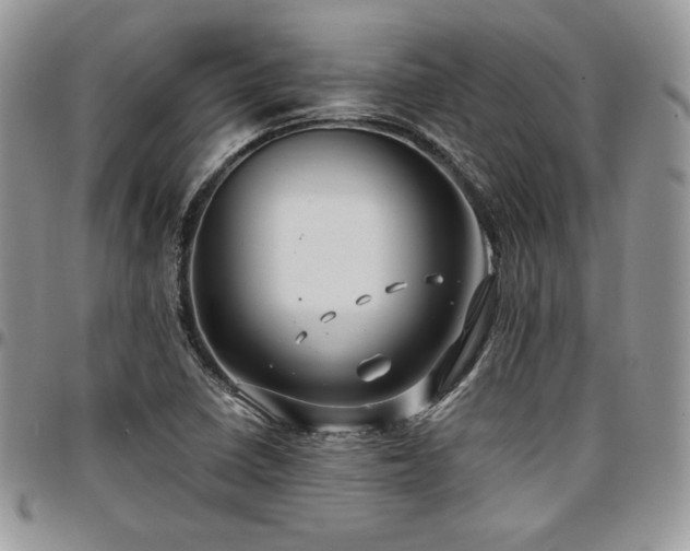X0000097301410200802151428
