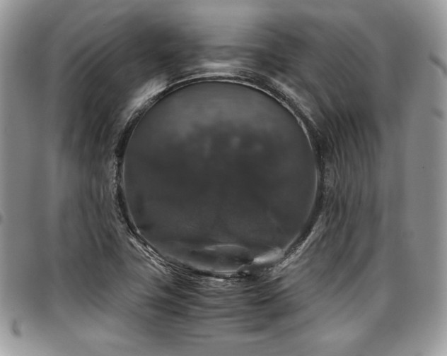 X0000097301411200802151428
