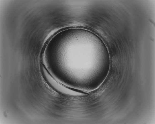X0000097301412200802151428