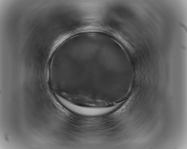 X0000097301413200802151428