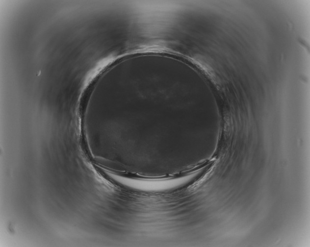 X0000097301414200802151428