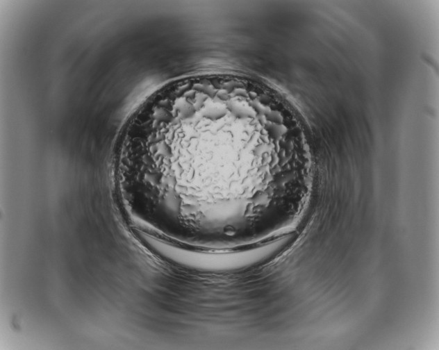 X0000097301415200802151428