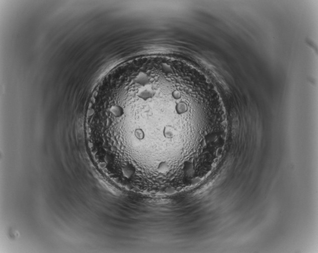 X0000097301417200802151428