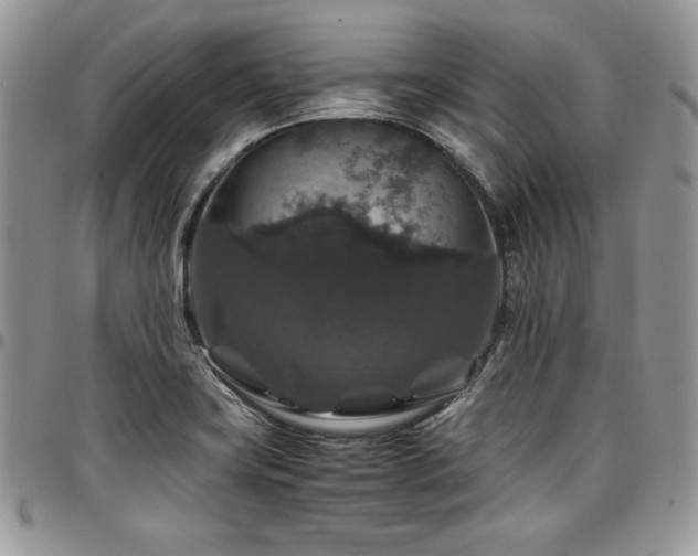 X0000097301419200802151428