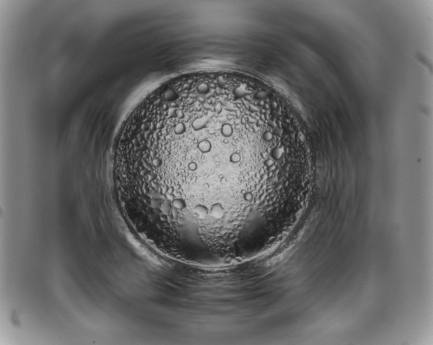 X0000097301421200802151428