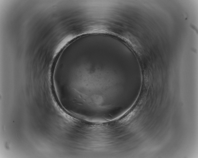 X0000097301422200802151428