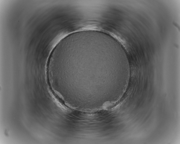 X0000097301423200802151428