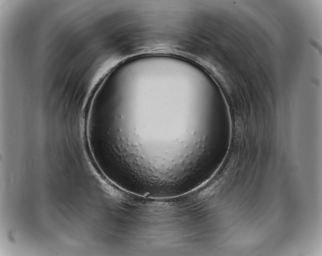 X0000097301424200802151428