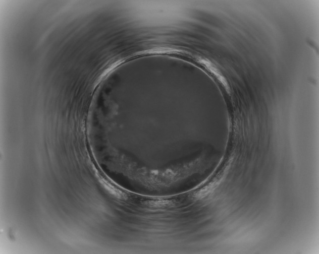X0000097301425200802151428