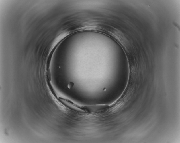 X0000097301426200802151428