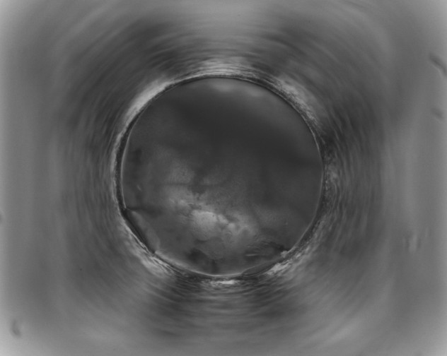 X0000097301427200802151428