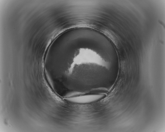 X0000097301428200802151428