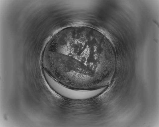 X0000097301429200802151428